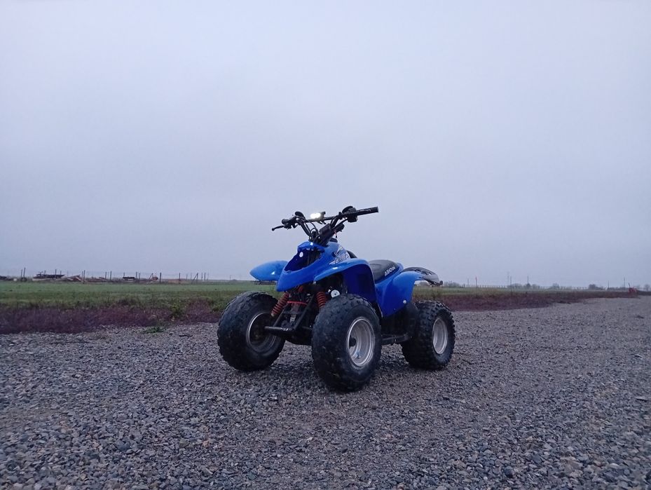ATV 100CC aeon cobra