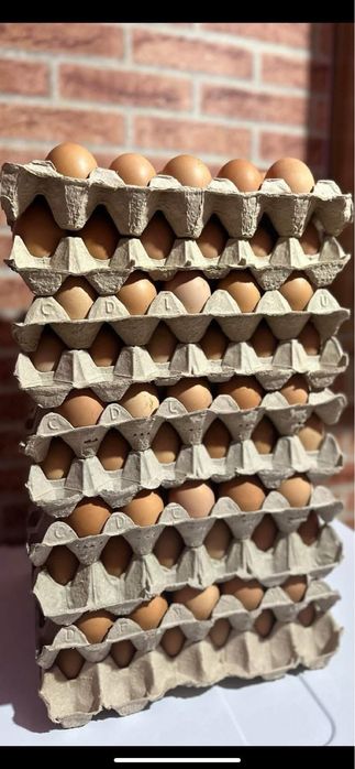 Oua de casa proaspete si naturale