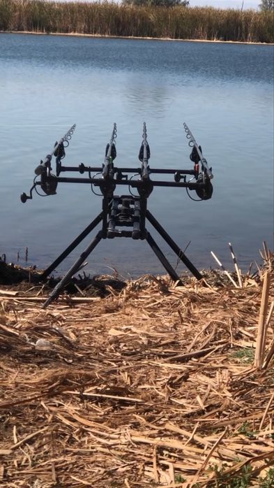 Род под east shark