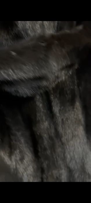 Норковая шуба 44 размер