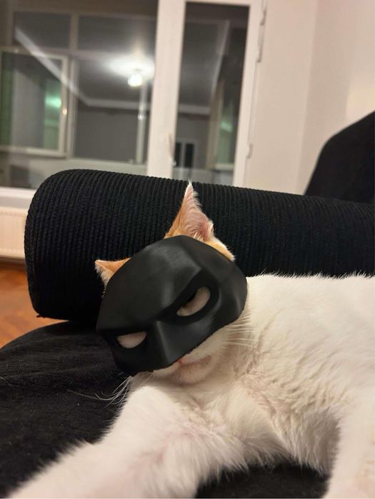 Маска за котка Батман (BatCat)