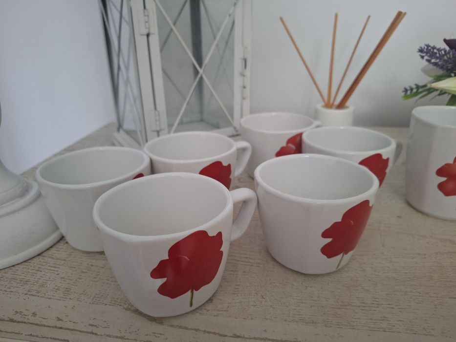 Set de cani cu lalea