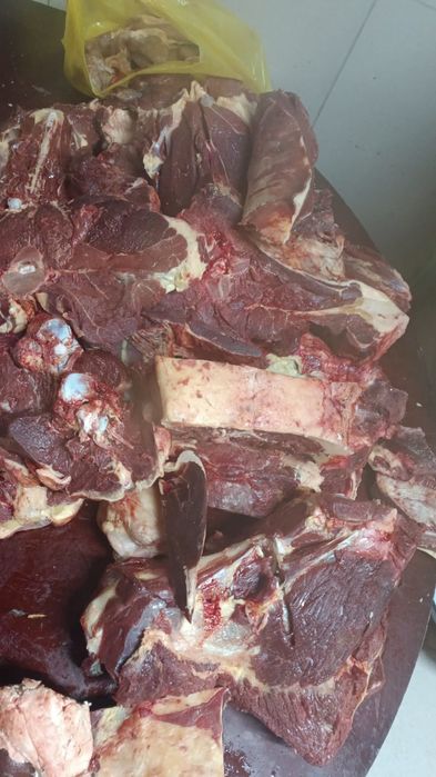 Капчены мяса конины. Сүр ет.