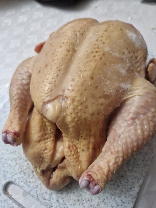 Куры домашние, бройлер