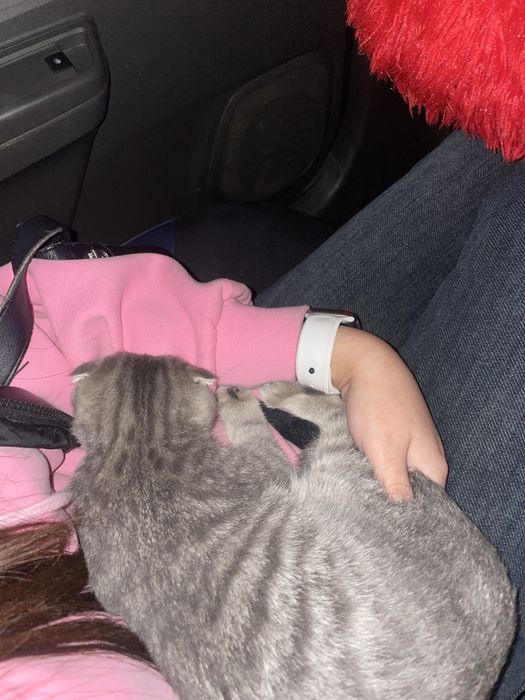 Pasport bilan beriladi