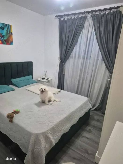 Aparatorii Patriei 2 camere PRET IMBATABIL loc de parcare inclus — fotografia 3