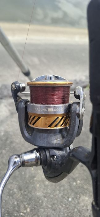 Mulineta daiwa laguna