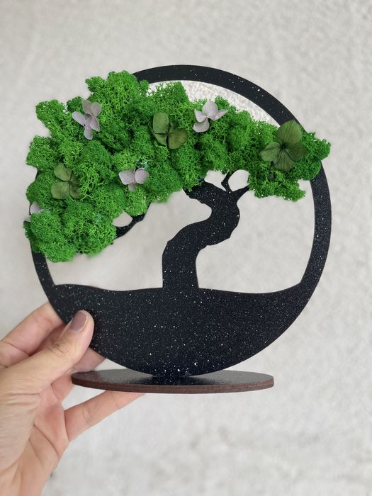 Bonsai cu licheni naturali stabilizati