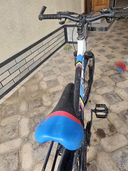 Skors velasaped Holati ideal