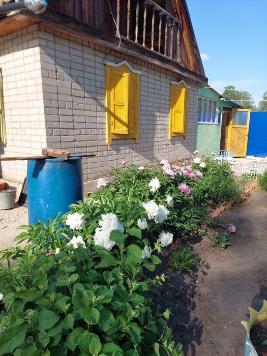 Продам дачу в обществе Горизонт