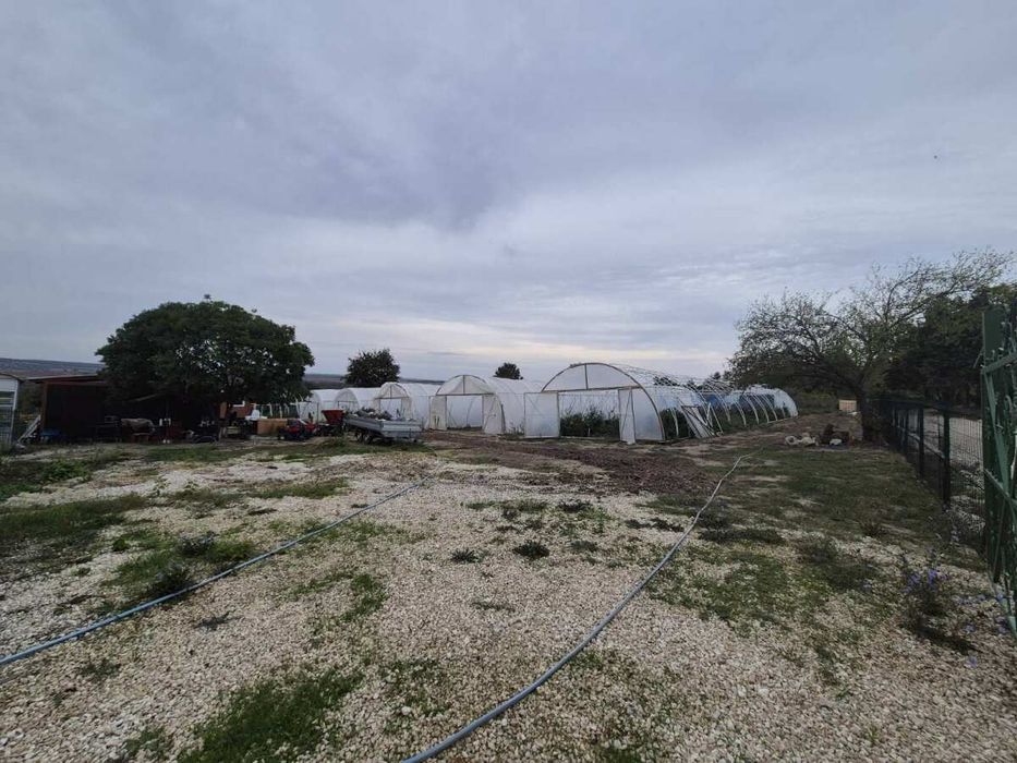 Отлична инвестиционна възможност: Разработен бизнес с оранжерии и