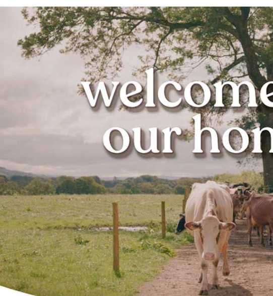 Kendamil Organic formula 2