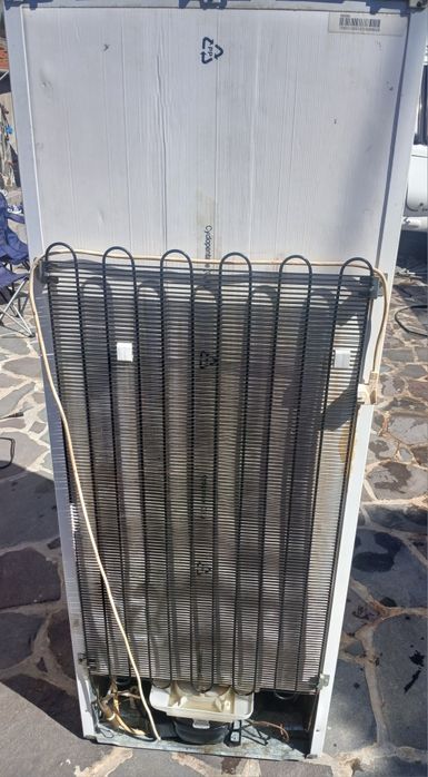 Frigider Artic 500lei fix
