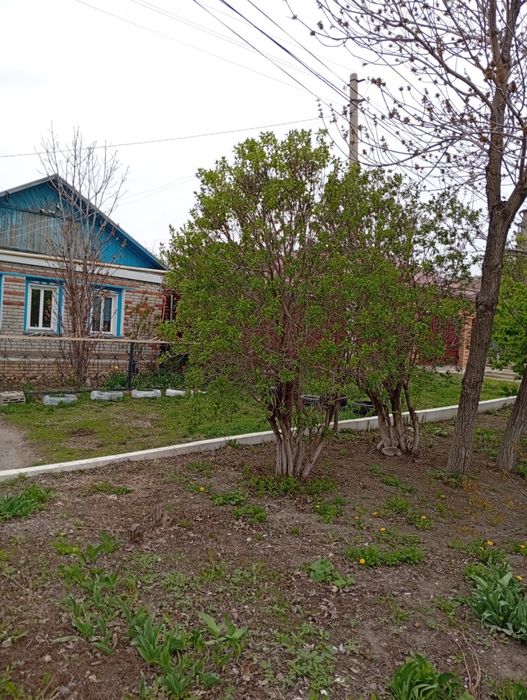 Продам дом в центре города