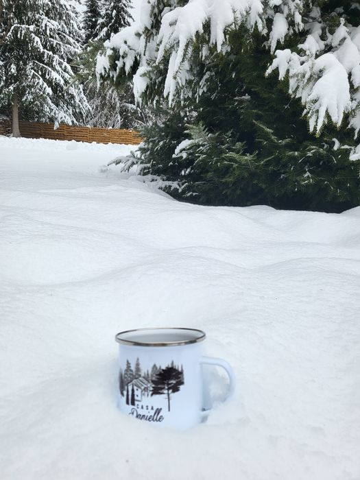 Cazare Casa Danielle