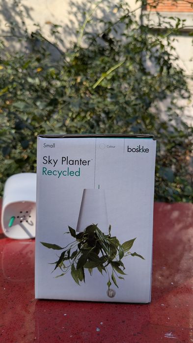 Ghiveti plante suspendat tavan