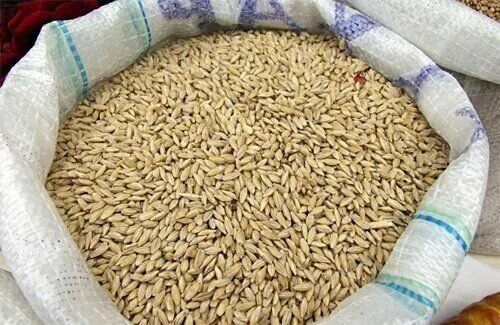 Продам Ячмень Сухой Цена Договорная
