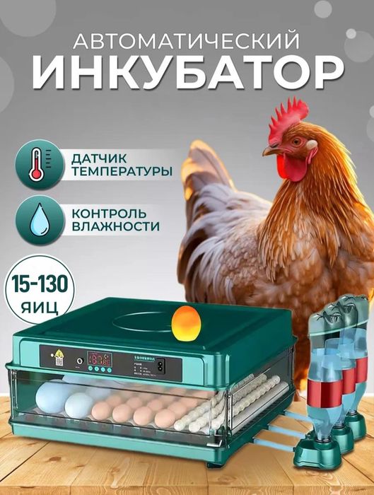 Инкубатор для яиц