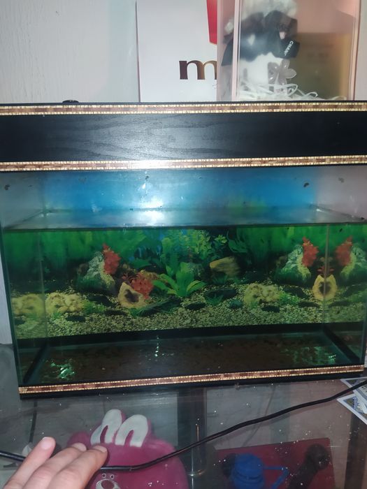 Продам аквариум на 30 литров