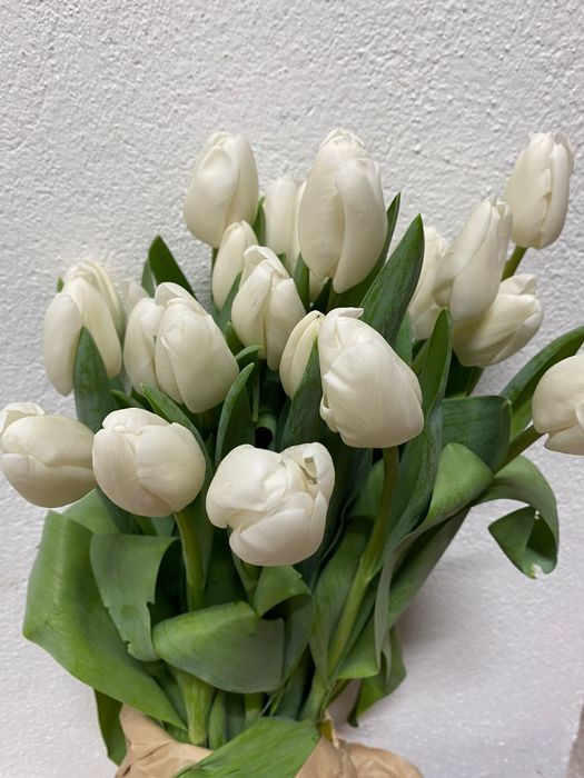 Гүлдер сатылады Продается Цветы