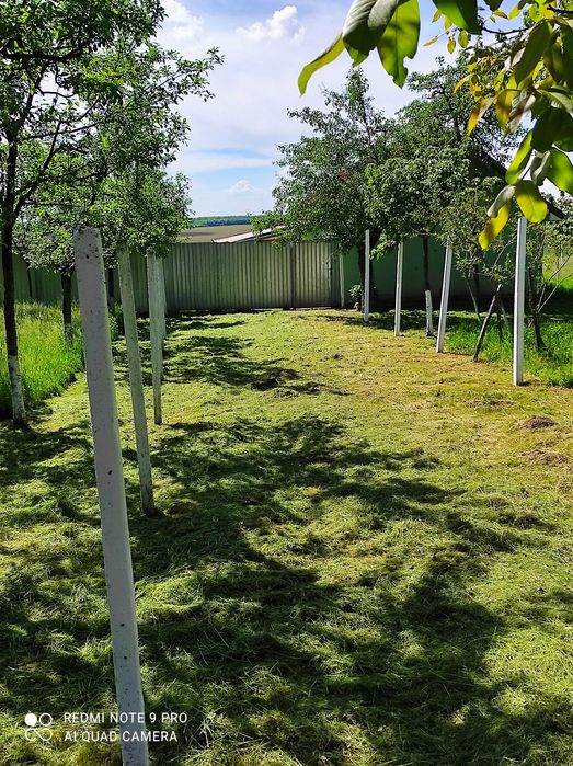 Fermă agricolă Jud Bihor 40282 mp