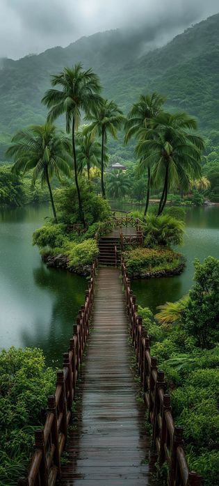 Продам дачу Шубарсу 1