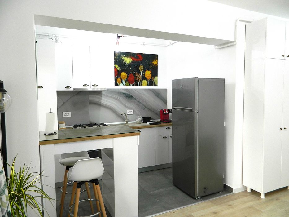 Studiou de inchiriat, 40 mp zona Brazdă