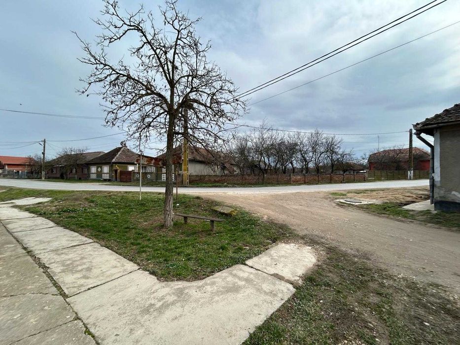 Casă Tăut cu 2 clădiri și teren generos (2507mp)