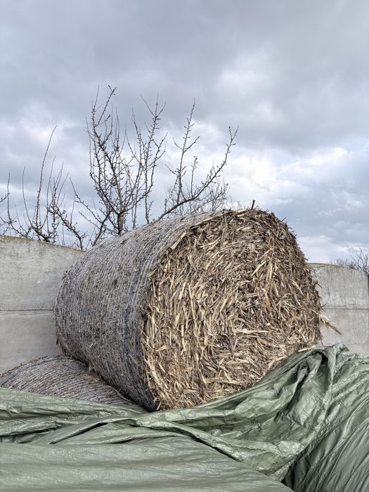 Baloți de tulei 40 de buc !!