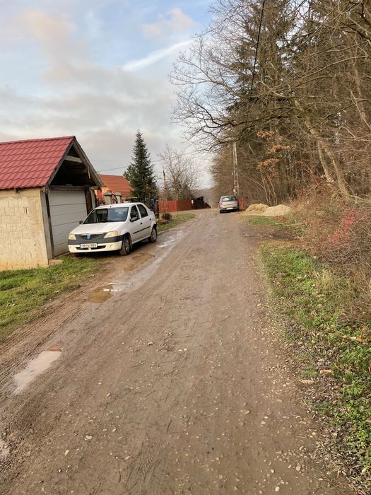 Teren lângă pădurea Alparea, Oradea