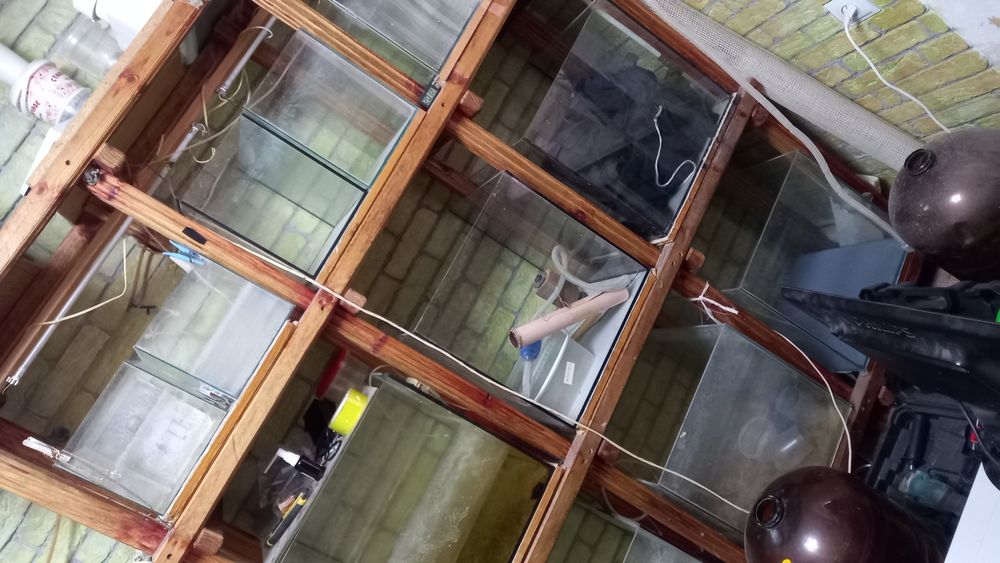 Продам Аквариумную Ферму