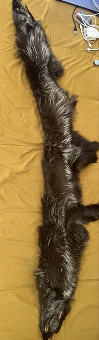 Продается меховой воротник из росомахи (б/у)