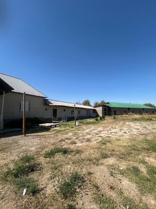 Дом с личным подсобным хозяйством