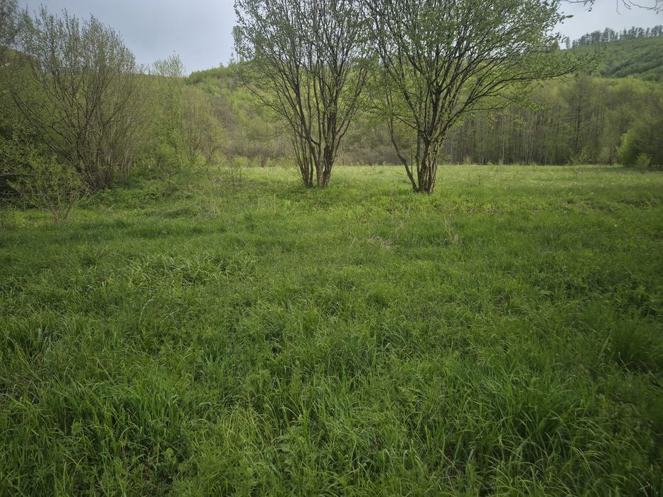 Vând teren în câmpu Cetății