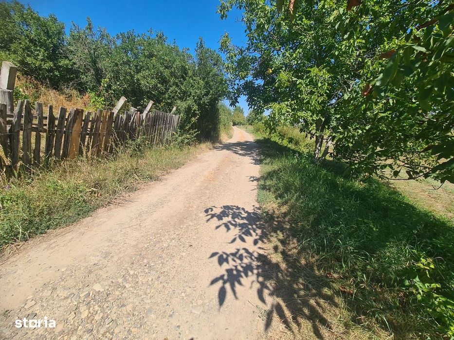Teren intravilan 5000 mp , Casin, Onesti