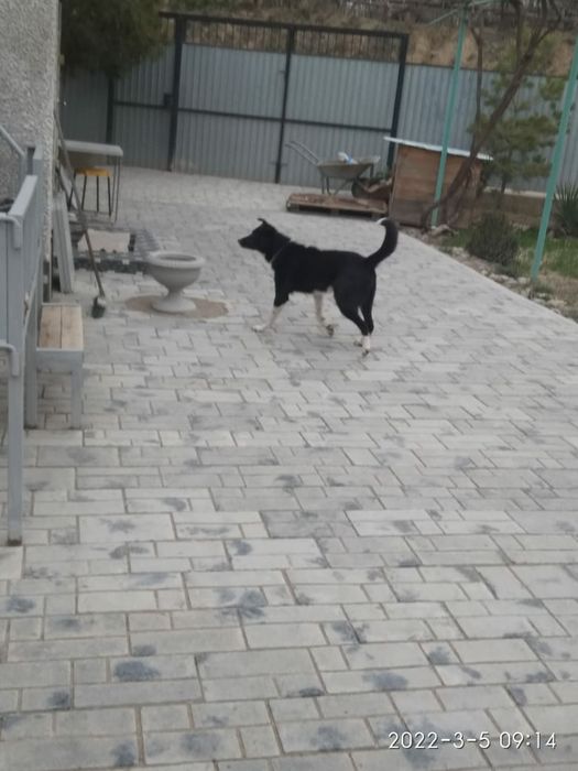 Облицовочнная плитка брущатка МЮНХЕН