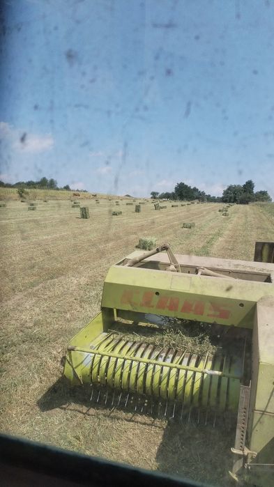 Vând baloti de lucernă