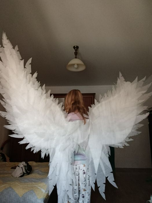 Крылья  демона и ангела