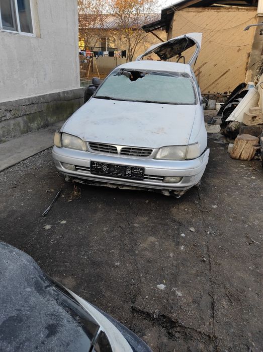 Карина Е по запчастям