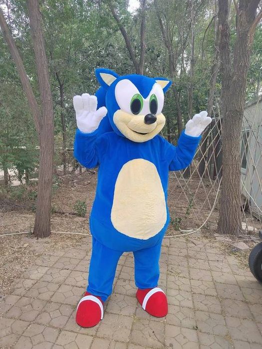 Mascote delux adult Sonic ariciul desene animate