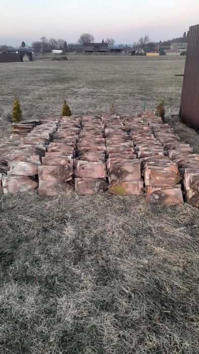 Tigla solzi pește la 1. Leu bucata.