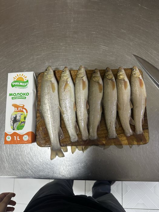 Marinka baliq sotiladi, yovoiy svejiy. Продаю маринок, дикие свежие
