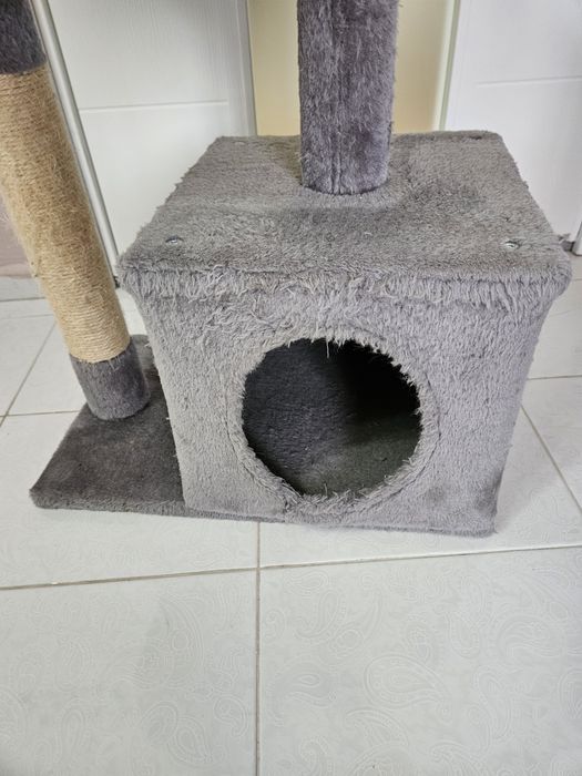 Котешка катерушка