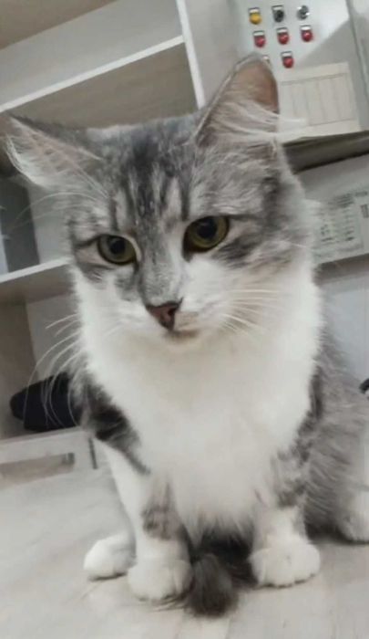 Удивительно добрая девочка ищет дом