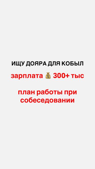 Дояр ( доярка ) для кобыл