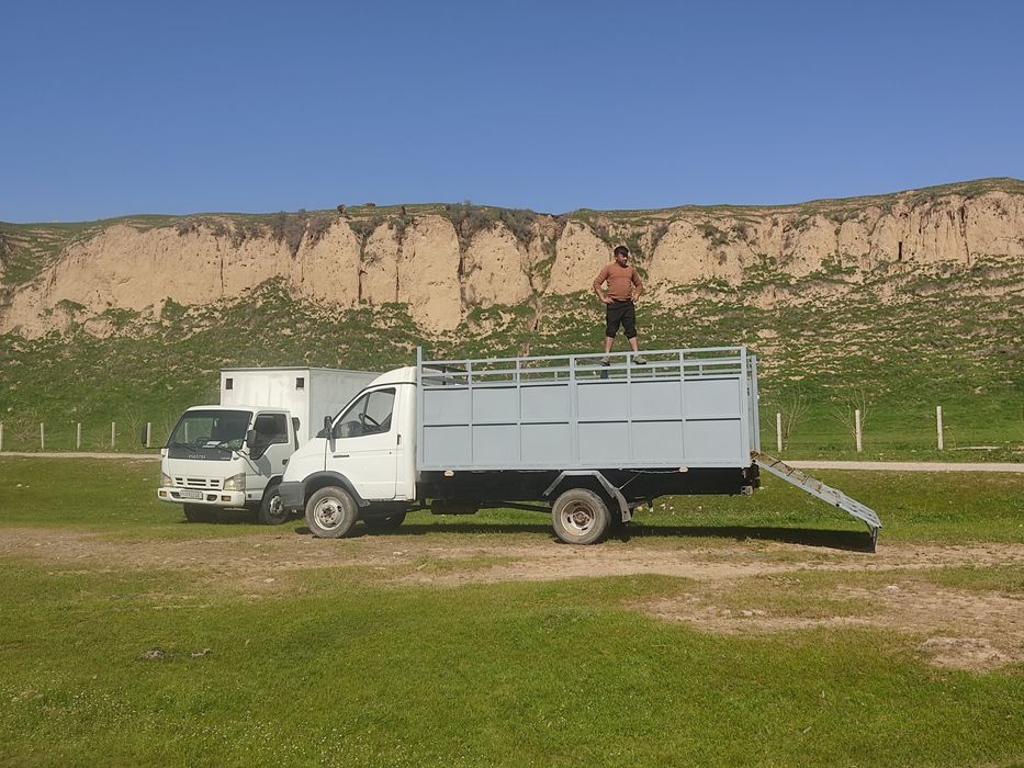 Gazel yili 2008 isuzu 2.5 mator karopka