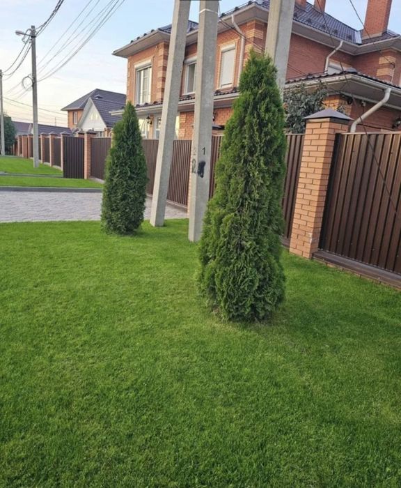 Стильный газон под ключ