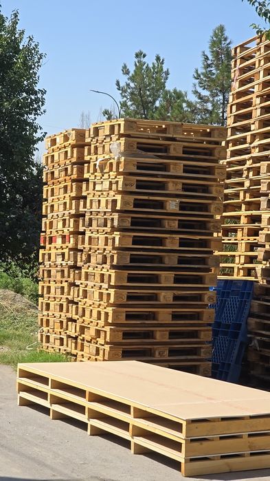 Paddon Lyoboy Razmer Bor