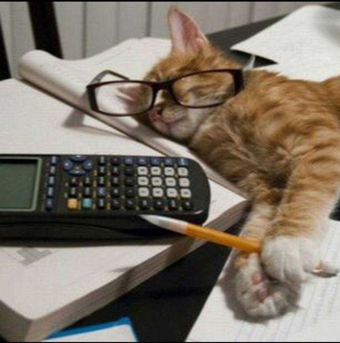 Оказываю бухгалтерские услуги Фирмам с видом деятельности "УСЛУГИ"