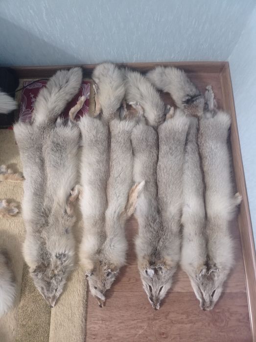 Натуральный мех . Лиса.